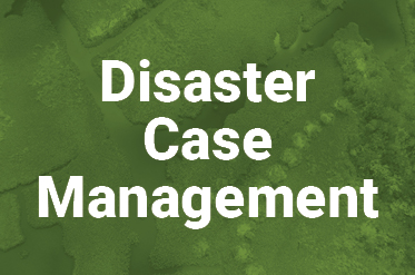 Disaster Case Management