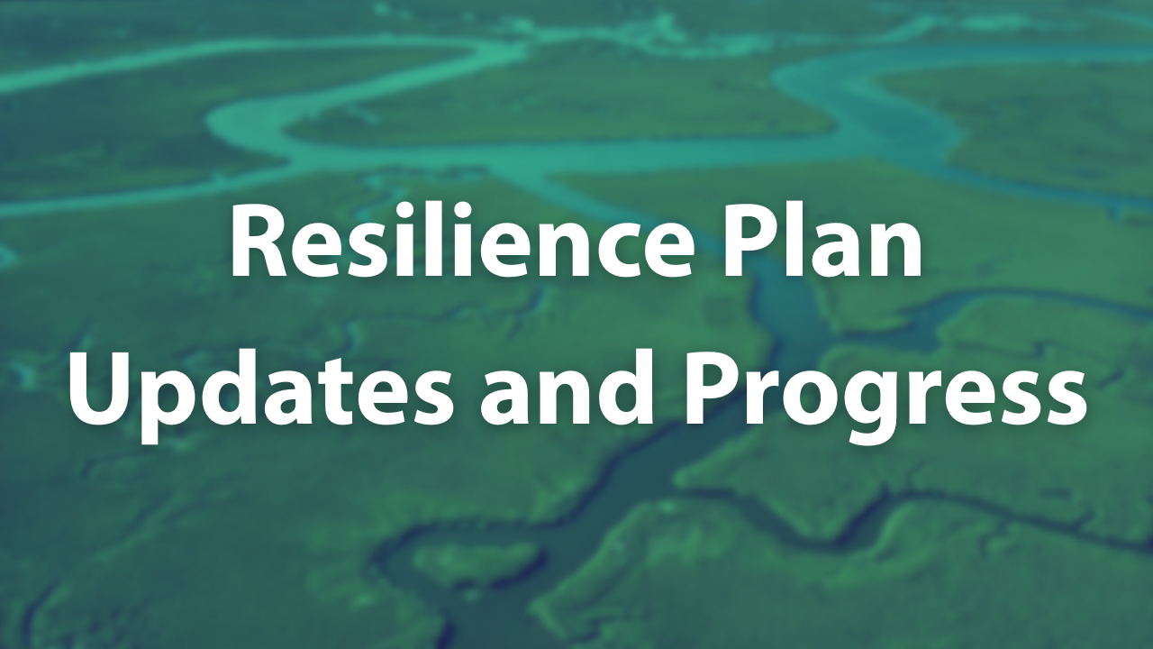 Button labeled "Resilience Plan Updates and Progress"