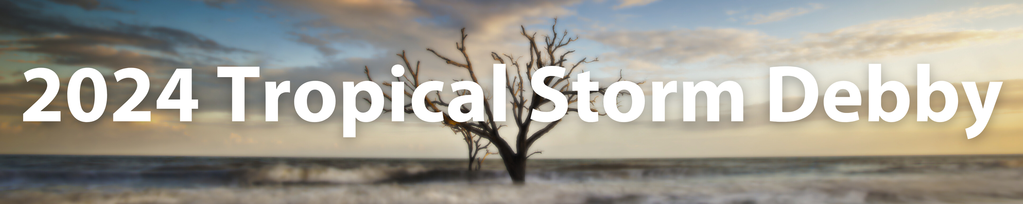 Banner image of a South Carolina Coast with a text overlay "2024 Tropical Storm Debby"