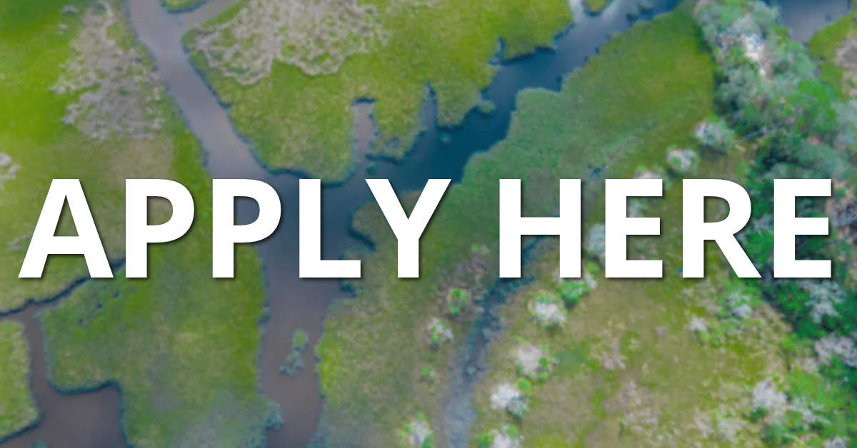Button with text "Apply Here"
