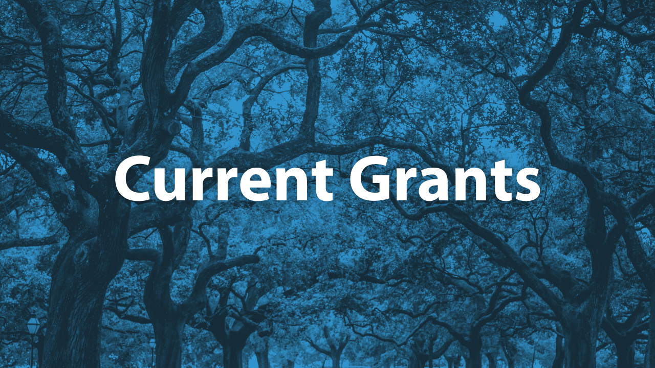 Button labeled "Current Grants"