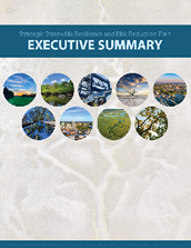 Executive Summary cover