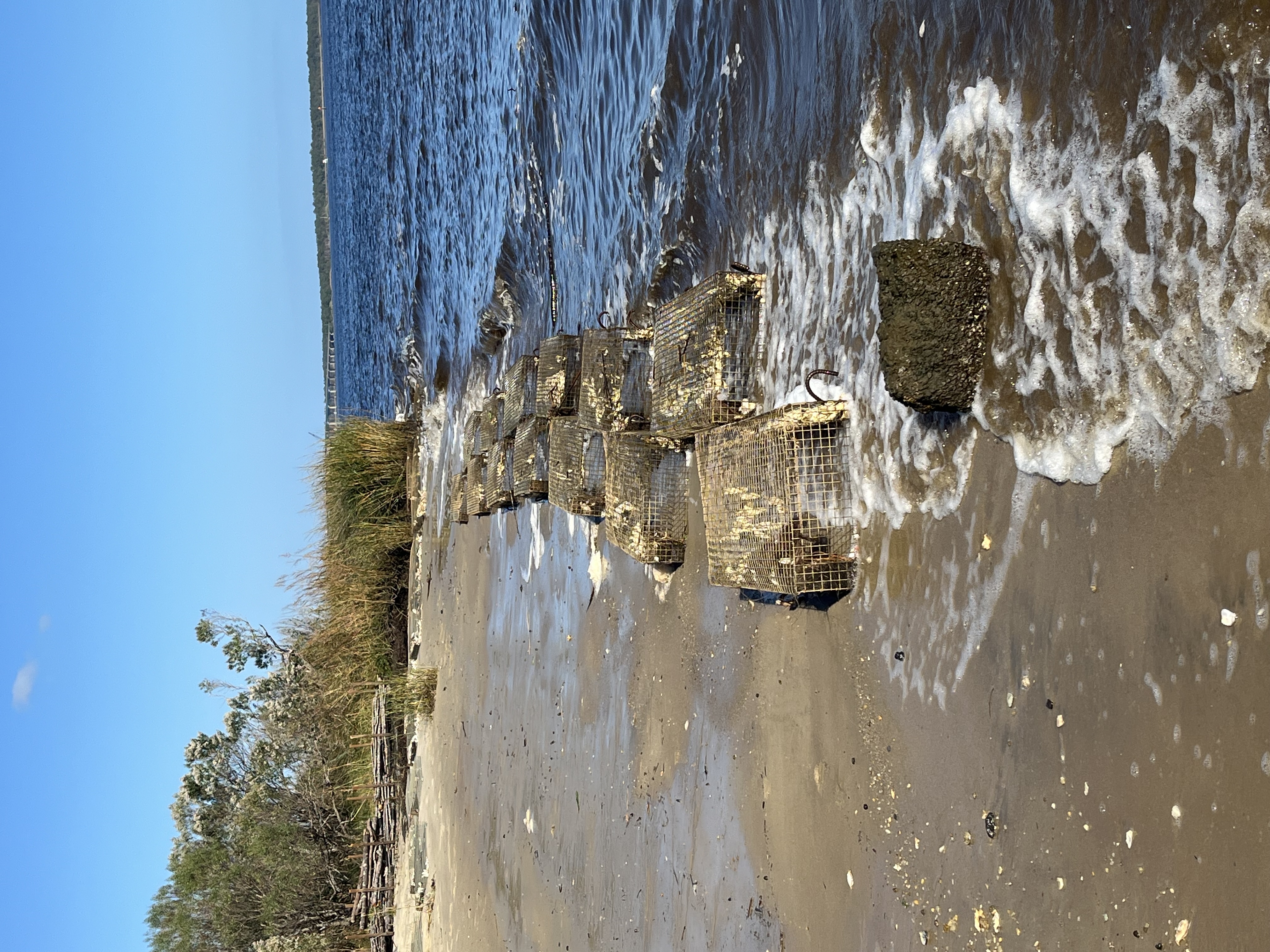 Manufactured Wire Reefs installed at Morgan Park, Georgetown to prevent sediment erosion (Photo Credit: Nicole Pehl, TNC)