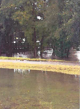 An example of local flooding before construction provided by the City of Sumter