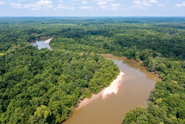 Aerial Photo of the Great Pee Dee River