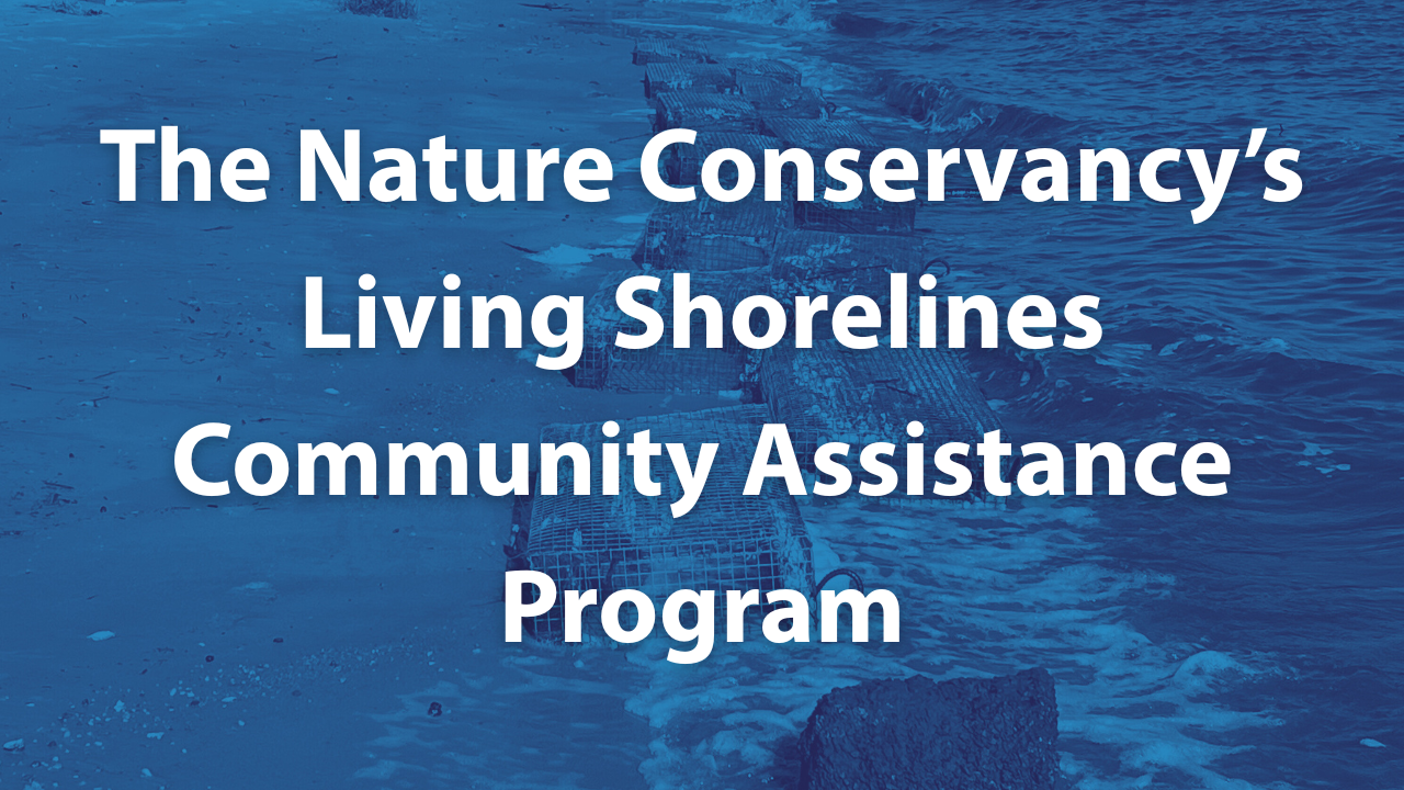 Button linking to "The Nature Conservancy's Living Shorelines Community Assistance Program"